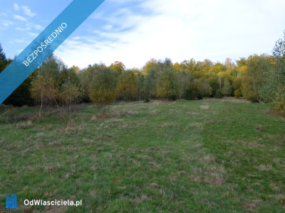 Brenna 253 ha z prawem zabudowy inwestycyjna blisko wyciągu orzczykowego - Ustroń  -
śląskie Zdjęcie nr 7