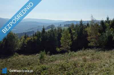 Brenna 253 ha działka inwestycyjna blisko wyciągu - Brenna  -
śląskie Zdjęcie nr 10