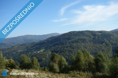 Brenna 253 ha działka inwestycyjna blisko wyciągu - Brenna  -
śląskie Zdjęcie nr 3