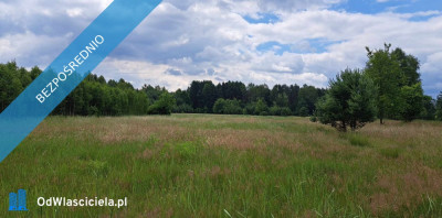 Sprzedam piękną działkę 6000 m2 Cisza i spokój dojazd z Warszawy trasą S7  - Luta  - świętokrzyskie