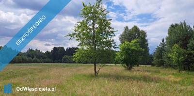 Sprzedam piękną działkę 6000 m2 Cisza i spokój dojazd z Warszawy trasą S7  - Luta  -
świętokrzyskie Zdjęcie nr 3