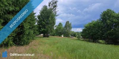 Sprzedam piękną działkę 6000 m2 Cisza i spokój dojazd z Warszawy trasą S7  - Luta  -
świętokrzyskie Zdjęcie nr 4