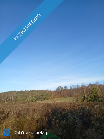 Sprzedam działkę budowlaną  - Ludwinów  -
śląskie Zdjęcie nr 9