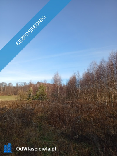 Sprzedam działkę budowlaną  - Ludwinów  -
śląskie Zdjęcie nr 10