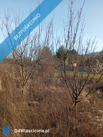 Sprzedam działkę budowlaną  - Ludwinów  - śląskie