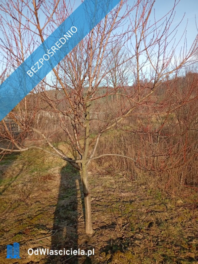 Sprzedam działkę budowlaną  - Ludwinów  -
śląskie Zdjęcie nr 3