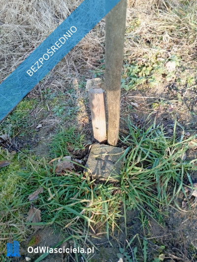 Sprzedam działkę budowlaną  - Ludwinów  -
śląskie Zdjęcie nr 4