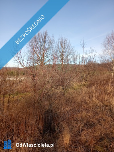 Sprzedam działkę budowlaną  - Ludwinów  -
śląskie Zdjęcie nr 5