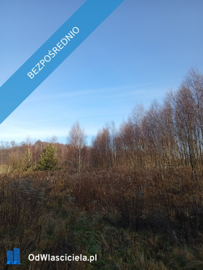 Sprzedam działkę budowlaną  - Ludwinów  -
śląskie Zdjęcie nr 8