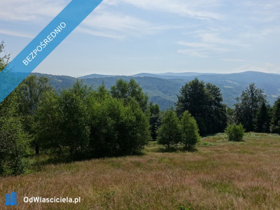 Brenna 25ha pod inwestycje pensjonaty domki letniskowe - Brenna  -
śląskie Zdjęcie nr 12