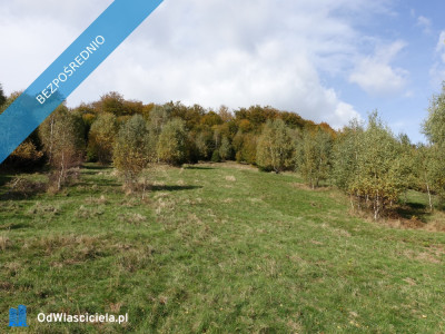 Brenna 253 ha działka inwestycyjna blisko wyciągu - Katowice  -
śląskie Zdjęcie nr 13