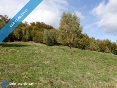 Brenna 253 ha działka inwestycyjna blisko wyciągu - Katowice  -
śląskie Zdjęcie nr 14