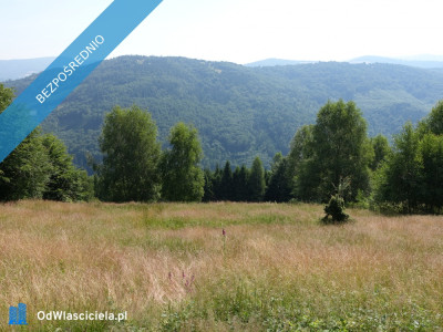 Brenna 253 ha działka inwestycyjna blisko wyciągu - Jaworze  - śląskie