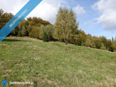 Brenna 253 ha działka inwestycyjna blisko wyciągu - Warszawa  -
mazowieckie Zdjęcie nr 6