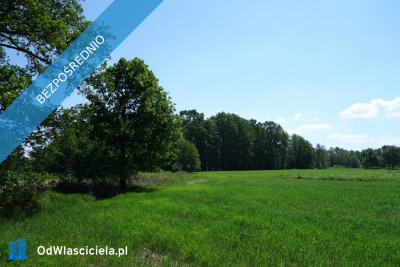 Skoczów Ochaby 57ar pod lasem widokowa pod rekreacje rolna  - Katowice  -
śląskie Zdjęcie nr 4