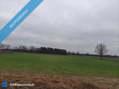 Sprzedam działki budowlane  - Bindużka  -
mazowieckie Zdjęcie nr 4