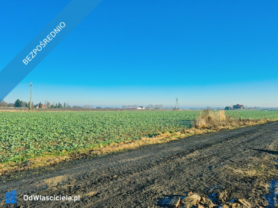 Piękna działka budowlana w Brzezinie koło Wrocławia z panoramicznym widokiem - Brzezina  - dolnośląskie