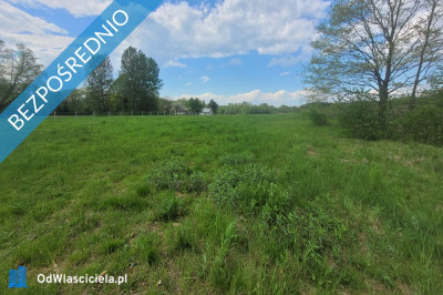 Działka budowlana w centrum Dominikowic wojmałopolskie - Dominikowice  -
małopolskie Zdjęcie nr 2