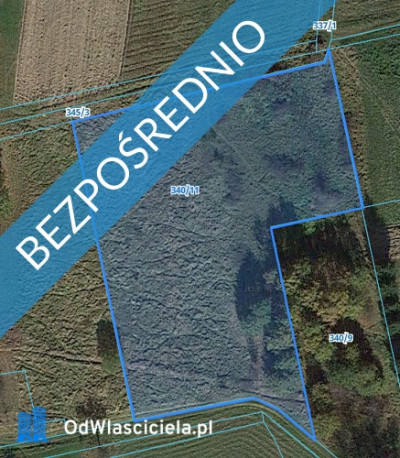 Działka budowlana w centrum Dominikowic wojmałopolskie - Dominikowice  -
małopolskie Zdjęcie nr 5