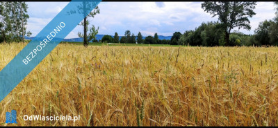 Sprzedam lub zamienię działkę Małopolska Zakliczyn nad Dunajcem  - Grabina  -
małopolskie Zdjęcie nr 4