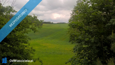 Mazury Stare Juchy działki 3000m2 w okolicach jeziora Garbas położone przy lesie - Stare Juchy  -
warmińsko-mazurskie Zdjęcie nr 9