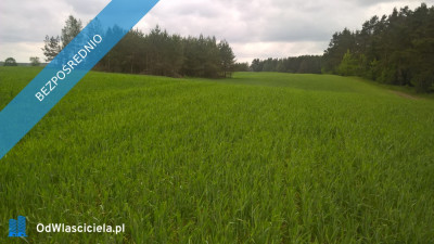 Mazury Stare Juchy działki 3000m2 w okolicach jeziora Garbas położone przy lesie - Stare Juchy  -
warmińsko-mazurskie Zdjęcie nr 10