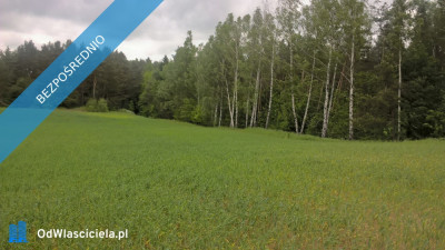Mazury Stare Juchy działki 3000m2 w okolicach jeziora Garbas położone przy lesie - Stare Juchy  -
warmińsko-mazurskie Zdjęcie nr 11