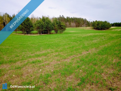 Mazury Stare Juchy działki 3000m2 w okolicach jeziora Garbas położone przy lesie - Stare Juchy  -
warmińsko-mazurskie Zdjęcie nr 13