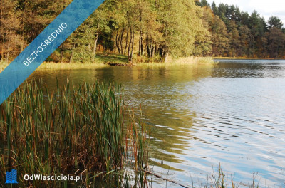 Mazury Stare Juchy działki 3000m2 w okolicach jeziora Garbas położone przy lesie - Stare Juchy  -
warmińsko-mazurskie Zdjęcie nr 2