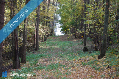 Mazury Stare Juchy działki 3000m2 w okolicach jeziora Garbas położone przy lesie - Stare Juchy  -
warmińsko-mazurskie Zdjęcie nr 5