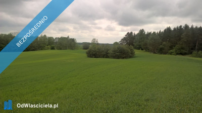Mazury Stare Juchy działki 3000m2 w okolicach jeziora Garbas położone przy lesie - Stare Juchy  -
warmińsko-mazurskie Zdjęcie nr 7