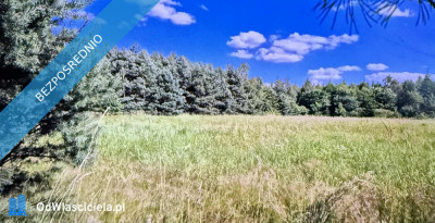 Działka pod budowę domu pod lasem szeroka długa  - Kolonia Piaski  -
świętokrzyskie Zdjęcie nr 2