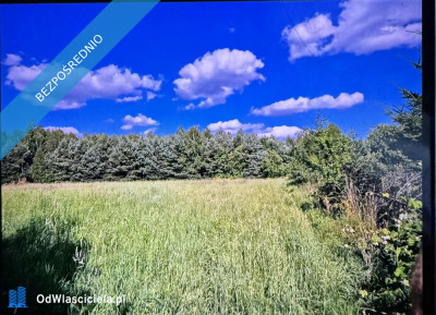 Działka pod budowę domu pod lasem szeroka długa  - Kolonia Piaski  -
świętokrzyskie Zdjęcie nr 3