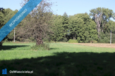 Działka budowlana pod lasem w malowniczej okolicy - Pszczonów  - łódzkie