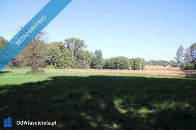 Działka budowlana pod lasem w malowniczej okolicy - Pszczonów  -
łódzkie Zdjęcie nr 2