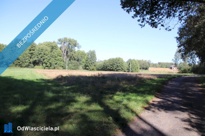Działka budowlana pod lasem w malowniczej okolicy - Pszczonów  -
łódzkie Zdjęcie nr 4