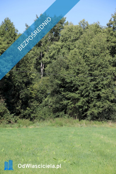 Działka budowlana pod lasem w malowniczej okolicy - Pszczonów  -
łódzkie Zdjęcie nr 5