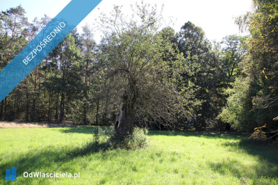 Działka budowlana pod lasem w malowniczej okolicy - Pszczonów  -
łódzkie Zdjęcie nr 6