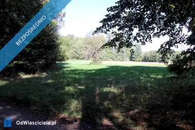 Działka budowlana pod lasem w malowniczej okolicy - Pszczonów  -
łódzkie Zdjęcie nr 7