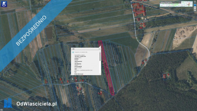 Działka budowlana pod lasem w malowniczej okolicy - Pszczonów  -
łódzkie Zdjęcie nr 8