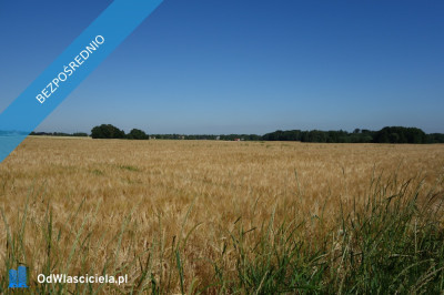 Skoczów Pruchna 115ha pod stadnine zabudowe lux lokalizacja - Katowice  - śląskie