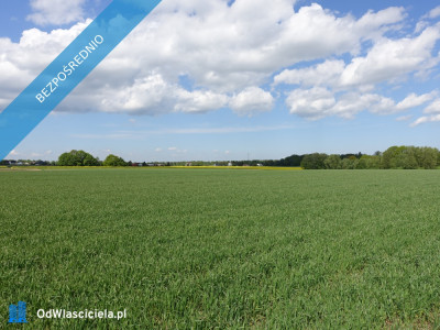 Skoczów Pruchna 115ha pod zabudowe stadnine koni  - Bielsko-Biała  -
śląskie Zdjęcie nr 7