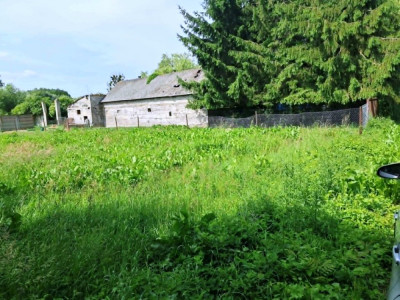 Działka budowlano-rolna 11 800 m2 m2 w gm Radziejowice - Stare Budy Radziejowskie  -
mazowieckie Zdjęcie nr 2