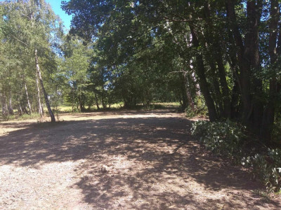 Duża działka w otulinie Kampinosu Dąbrowa  gm Łomianki - Łomianki Dolne  -
mazowieckie Zdjęcie nr 2