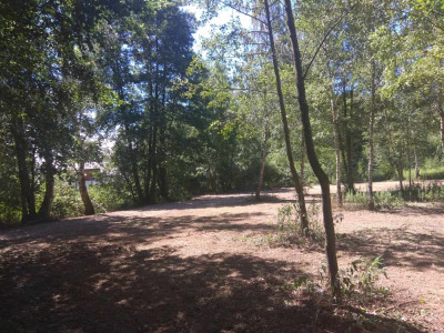 Duża działka w otulinie Kampinosu Dąbrowa  gm Łomianki - Łomianki Dolne  -
mazowieckie Zdjęcie nr 5