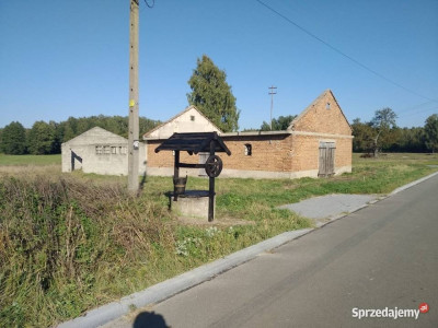 Sprzedam działkę siedliskową z zabudowaniami - Romanów  - lubelskie