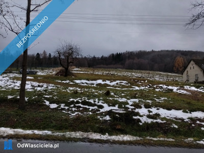 Sprzedam Działkę Budowlaną - Górki Wielkie  -
śląskie Zdjęcie nr 3