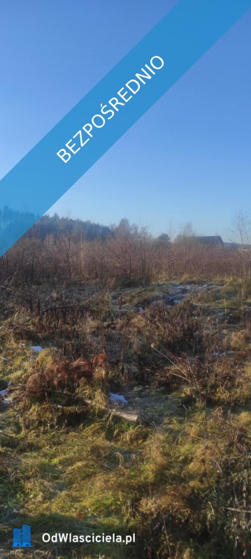 JUSZOWICE gmina Rudna KLIMATYCZNA DZIAŁKA z MPZP - Juszowice  -
dolnośląskie Zdjęcie nr 15