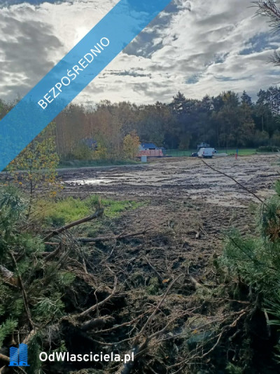 JUSZOWICE gmina Rudna KLIMATYCZNA DZIAŁKA z MPZP - Juszowice  -
dolnośląskie Zdjęcie nr 16