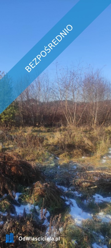 JUSZOWICE gmina Rudna KLIMATYCZNA DZIAŁKA z MPZP - Juszowice  -
dolnośląskie Zdjęcie nr 5